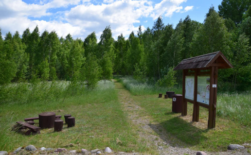 39 Atokvėpio vieta link Šereiklaukio piliakalnio.jpg